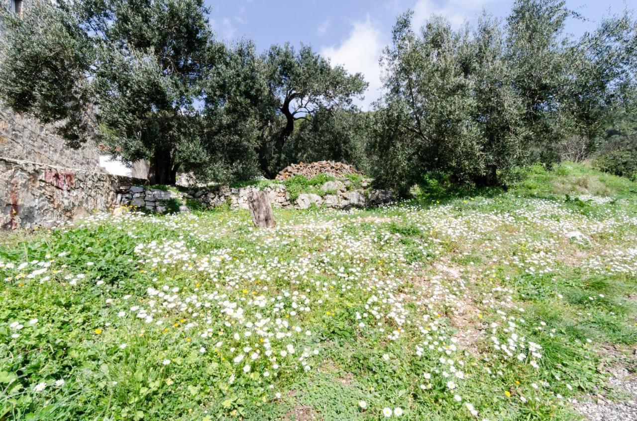 Apartmani Popovic Babino Polje Extérieur photo